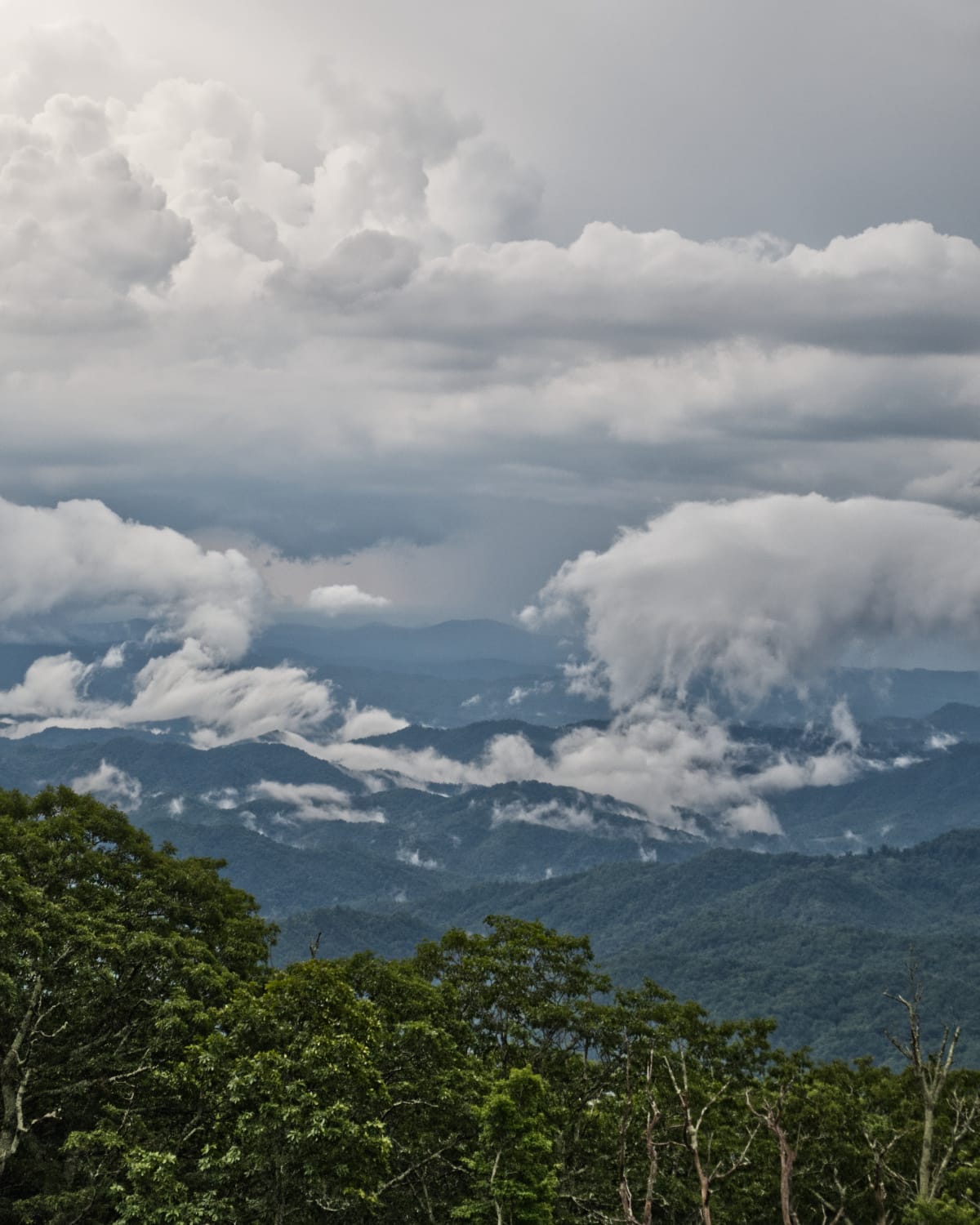 A moody day along the Blue Ridge Parkway.