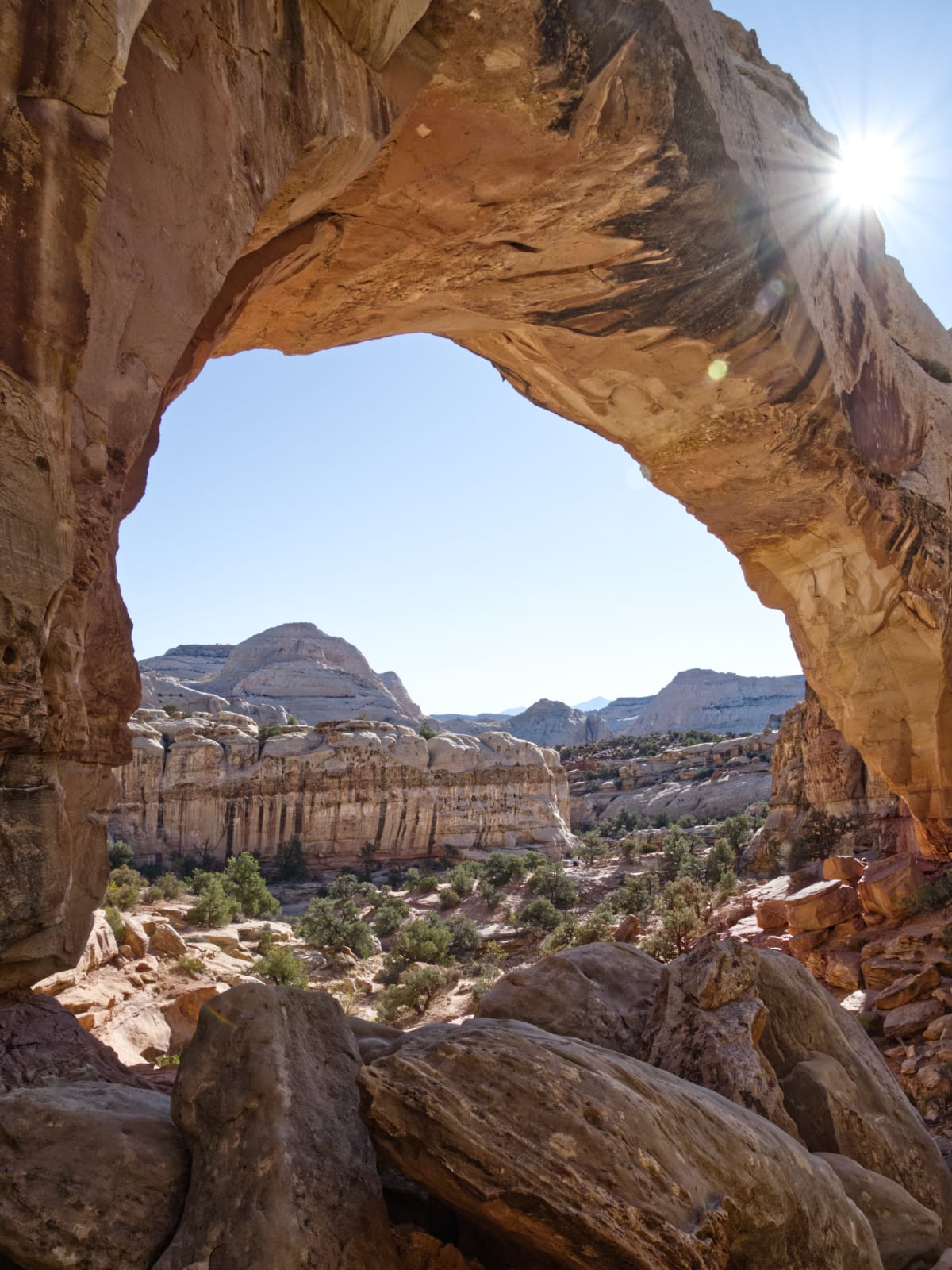 Hickman Bridge, a 133ft long natural, sandstone bridge in Capitol Reef National Park. One of my all-time favorite parks.