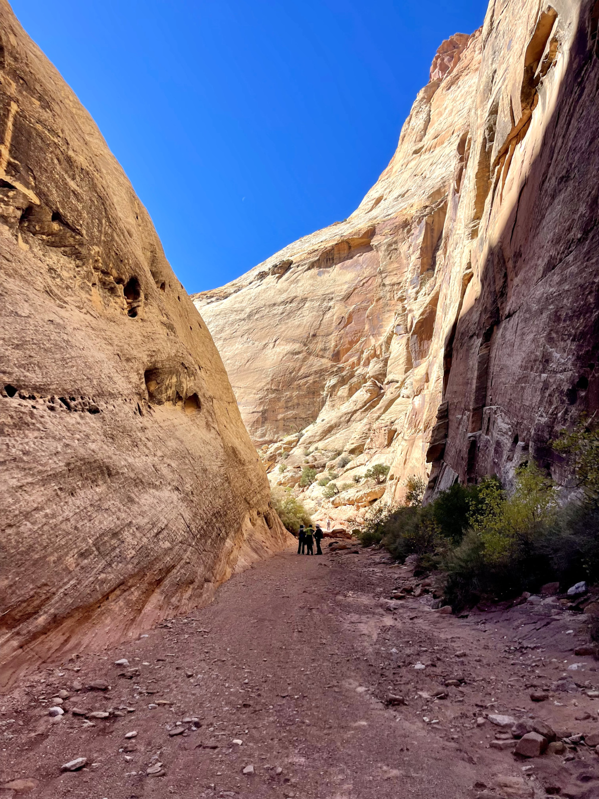 hickman_bridge_portrait_img