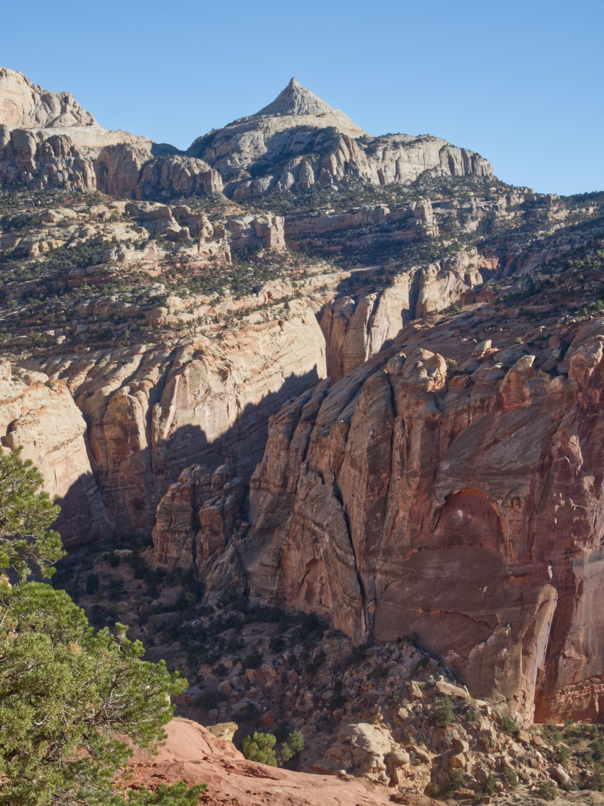hickman_bridge_portrait_img