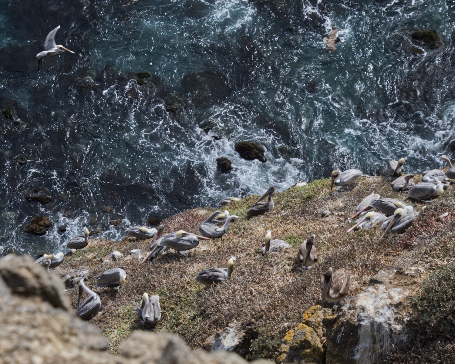 inspiration_point_img